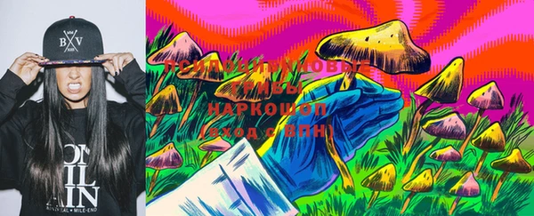 дживик Белоозёрский