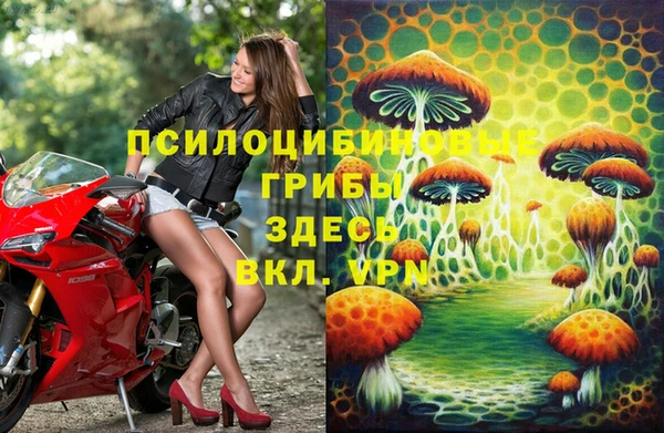 дживик Белоозёрский