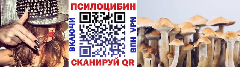 Купить где  Себеж  Галлюциногенные грибы прущие грибы 